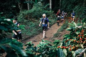 BIB: 
                            <button type="button" onclick="openModal(25833233)" class="btn btn-primary btn-sm float-right btn-popup" data-toggle="modal" data-target=".modal-high-quality">
                        <i class="fas fa-shopping-cart"></i> Add to Cart
                    </button>
                                            <button type="button" onclick="isThisMe(25833233, true)" class="btn btn-success btn-sm float-right btn-popup btn-isme hidden" data-toggle="tooltip" data-placement="bottom" title="นี่คือรูปของคุณใช่ไหม คลิกที่นี่เพื่อเอาเข้าอัลบั้ม">
                        <i class="fas fa-plus"></i> Add to album
                    </button>
                    <button type="button" onclick="isThisMe(25833233, false)" class="btn btn-warning btn-sm float-right btn-popup btn-isnotme hidden">
                        <i class="fas fa-ban"></i> Remove from album
                    </button>